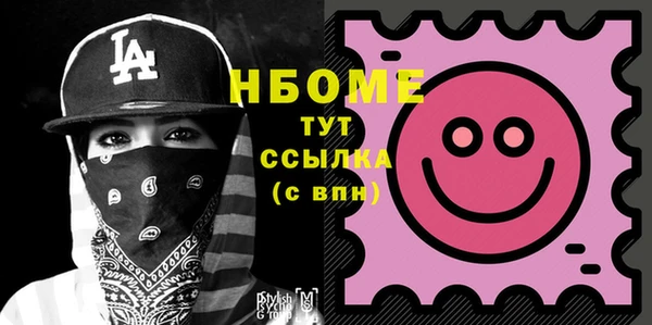 шишки Белокуриха