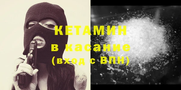 шишки Белокуриха