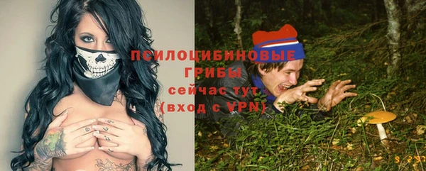 твердый Белоозёрский