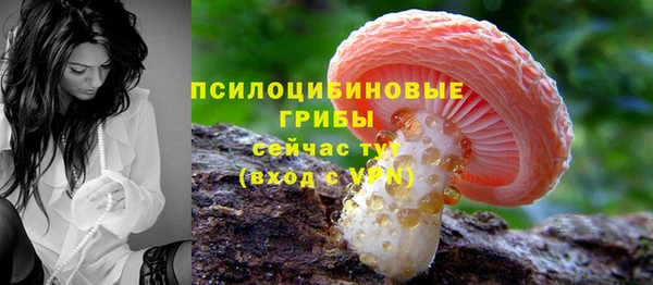 apvp Беломорск
